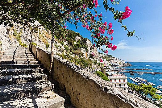 盛开,俯视,石头,楼梯,风景,远眺,阿马尔菲,港口,阿马尔菲海岸,意大利