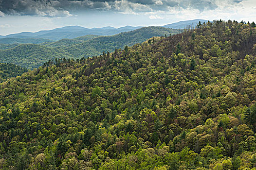 景色,蓝脊山脉,北方,乔治亚,美国