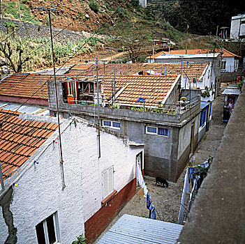 葡萄牙,马德拉岛,岛屿,丰沙尔,工薪阶层,住房