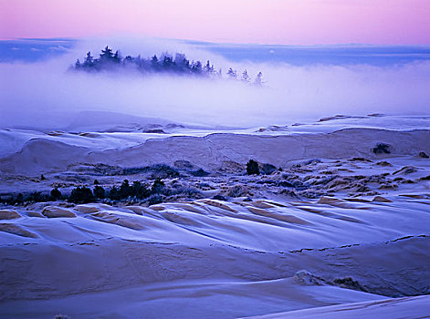 雾,俯视,沙丘,黎明,重,霜,湖岸,俄勒冈,美国