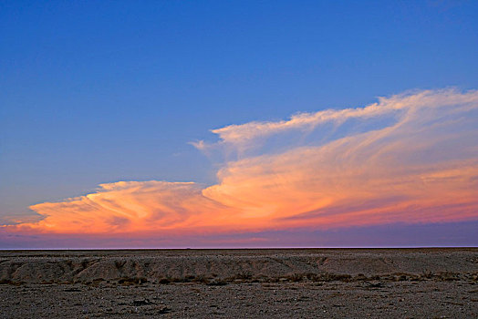 傍晚,日落,色彩,云,上方,孤单,空,荒漠景观,纳米比亚,国家公园