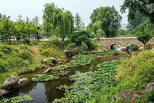 夏日溪流风光,山东省临沂市沂蒙红嫂纪念馆前