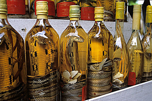 瓶装,蛇,葡萄酒,销售,吃,隧道,旅游,复杂,靠近,城市,西贡,越南,东南亚
