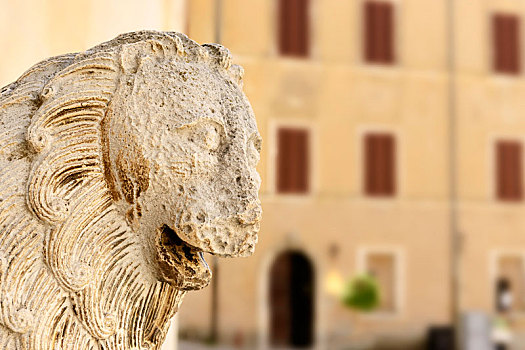 狮子,雕塑,意大利