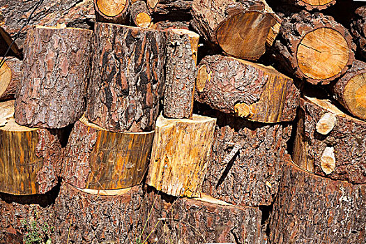 木柴,松树,一堆,排列,西班牙