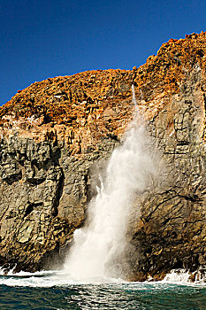 喷水孔,悬崖,岛屿,靠近,索科罗镇,群岛,墨西哥