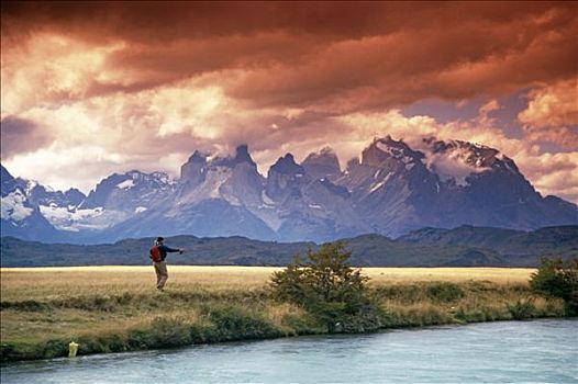男人,飞钓,河,托雷德裴恩国家公园,巴塔哥尼亚,智利