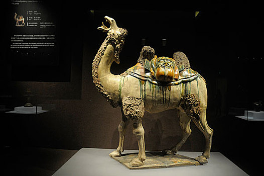 洛阳博物馆唐三彩,骆驼,珍品