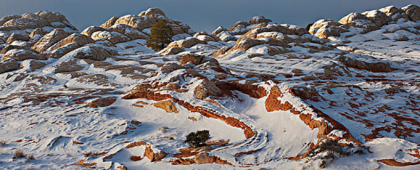 美国,亚利桑那,日出,积雪,抽象,造型,岩石构造,弗米利恩崖,国家纪念建筑