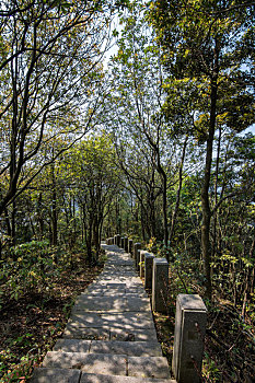 深圳梧桐山公园登云道