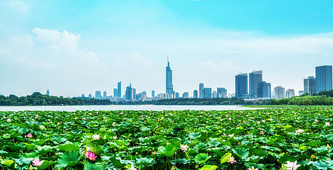 南京秦淮河夜景和城市景观