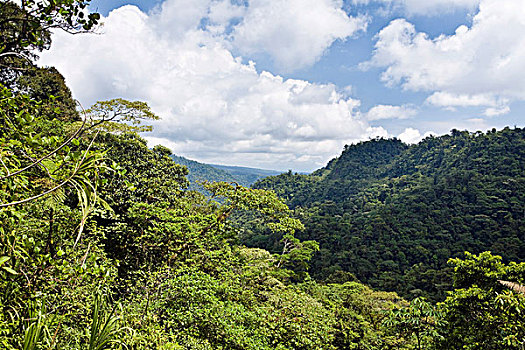 山,雨林,哥斯达黎加,中美洲