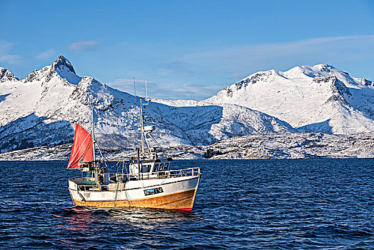 传统,渔船,抓住,网,雪山,背景,罗弗敦群岛,挪威,欧洲
