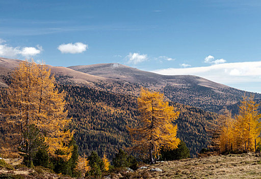 秋天,山,国家公园,卡林西亚,奥地利