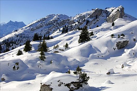 冬天,阿尔卑斯山,凹,瑞士