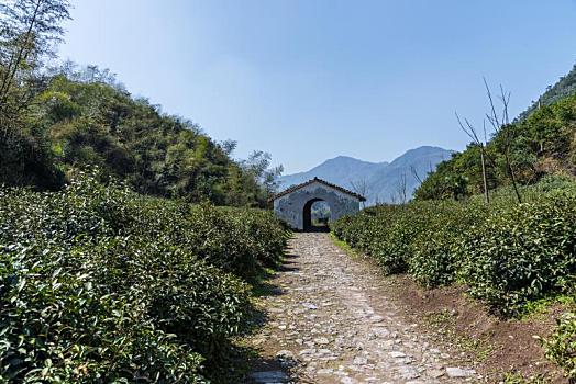 江山仙霞古道