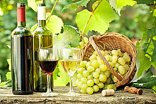 红色,白色,葡萄酒瓶,两个,玻璃杯,葡萄串,篮子,葡萄园