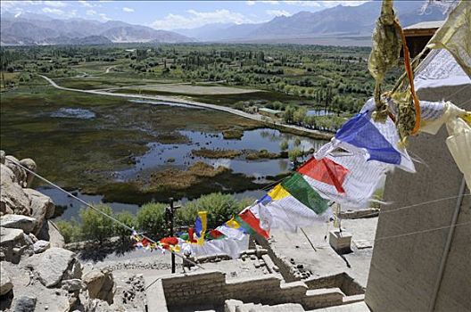 寺院,高原,河,绿洲,水塘,正面,喜马拉雅山,印度,亚洲