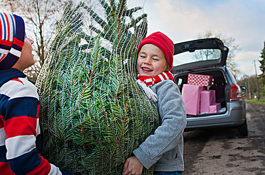 两个男孩,举起,圣诞树,汽车