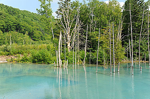 蓝色,水塘,日本