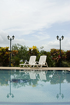 游泳池,酒店,厄瓜多尔,丛林