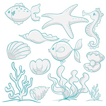 海洋动物,植物