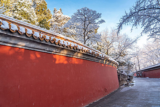 景山公园雪景