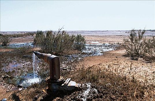 泵,浇水,地点,水,靠近,利比亚,非洲