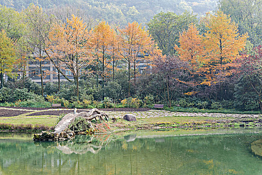 杭州太子湾公园秋景