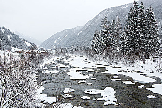 冬季风景,雾状,天气