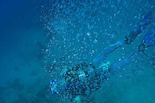 水下,泡泡,潜水,靠近,斐济,南太平洋