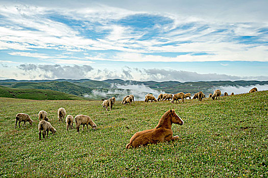 乌蒙美景大山包