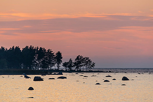漂石,水中,夜光,波罗的海岸,海湾,芬兰,爱沙尼亚,欧洲