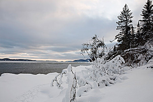 安大略省,加拿大,冰雪,北方,岸边,苏必利尔湖