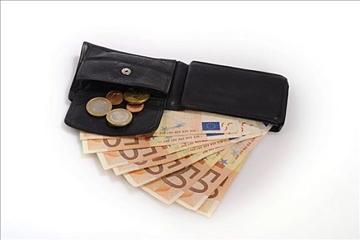 皮夹,欧元,钱