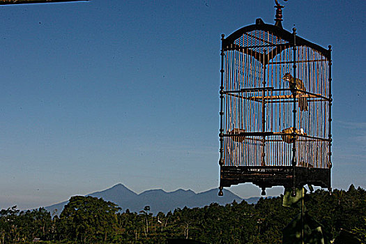 巴厘岛,鸟笼