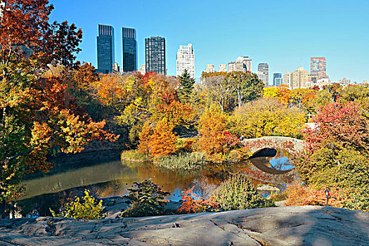 曼哈顿,中央公园,桥,石头,摩天大楼,秋天,纽约