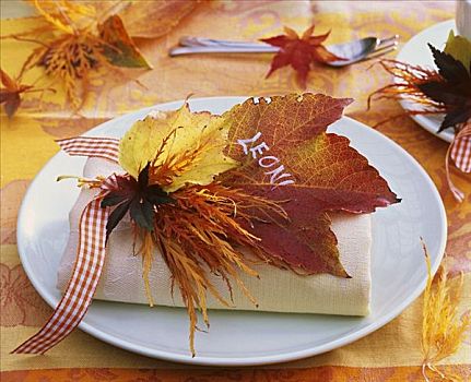 餐巾装饰,秋叶,枫树,藤叶