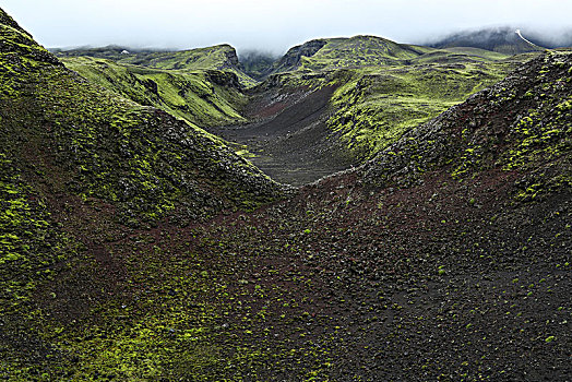冰岛,高地,喷发,裂缝,苔藓,雾