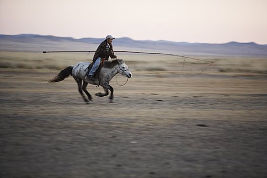 男人,骑马,国家公园,蒙古