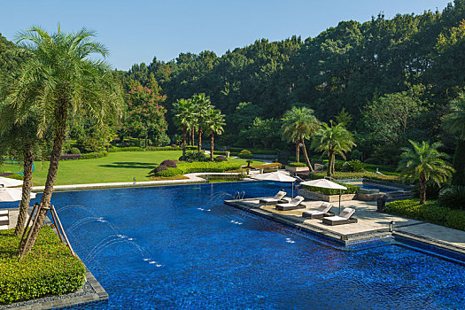 度假酒店花园游泳池
