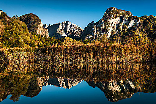 水塘,秋天,呼和托尔,国家公园,施蒂里亚,奥地利,欧洲