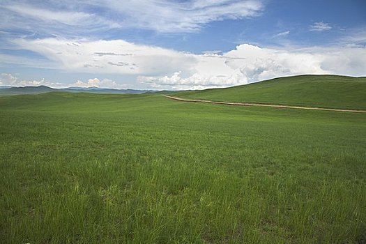 乡村道路,草地,内蒙古,中国