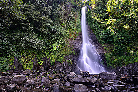 瀑布,中心,巴厘岛,印度尼西亚,亚洲