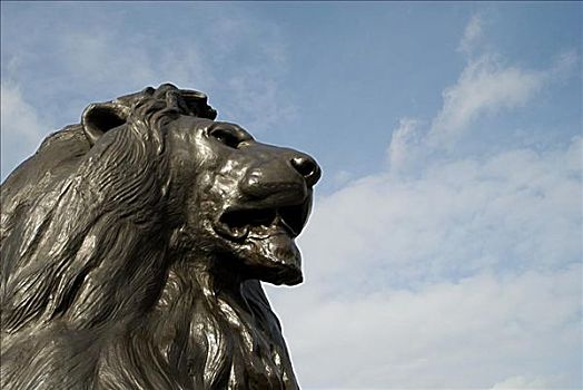 狮子,特拉法尔加广场