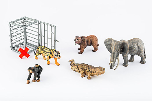 微距动物模型拍摄保护野生动物主题插图