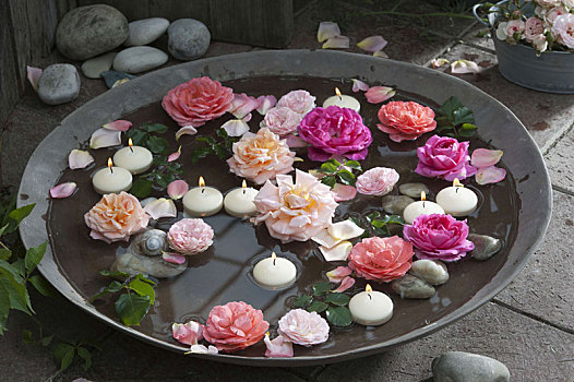 玫瑰,花,浮水蜡烛,宽,器具,水