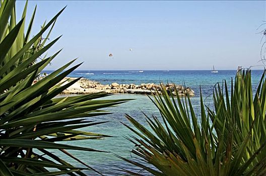 海滩,塞浦路斯,欧洲
