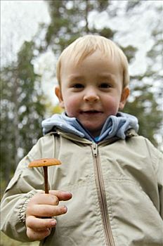 孩子,采蘑菇,瑞典