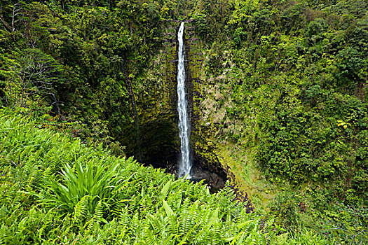 阿卡卡瀑布,夏威夷大岛,夏威夷,美国